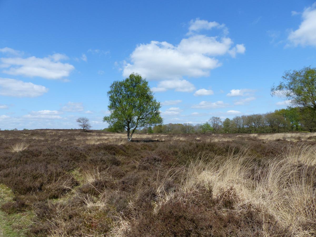 Herberg De Eexter Os Luaran gambar
